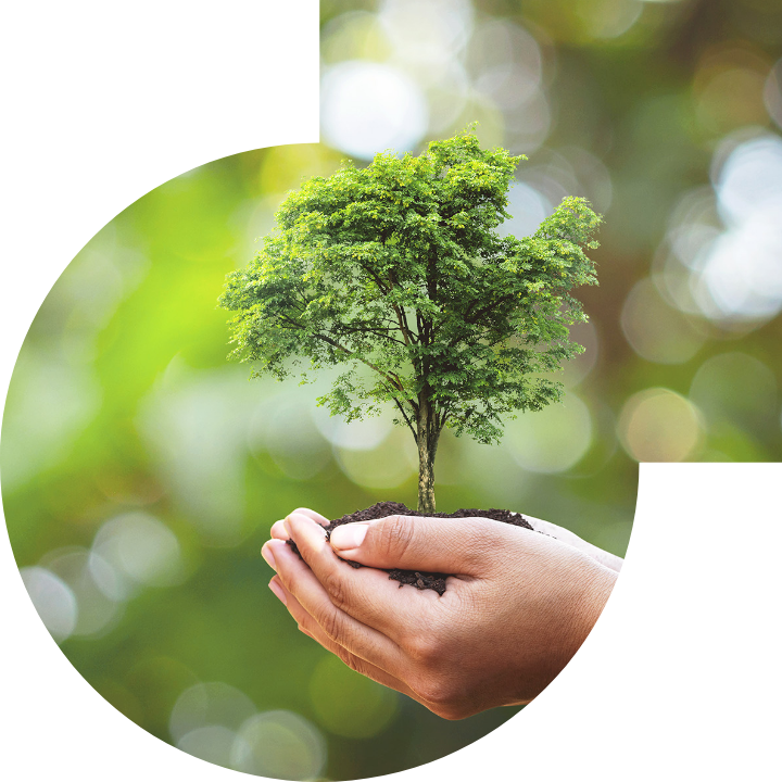 关怀人类、文化、环境与社会